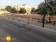 بينسي ليبرمان في رده على المشهراوي "لا يمكن إلغاء مناقصة أرض السوق"